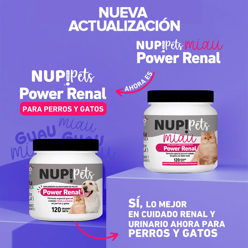 nup-pets-power-renal