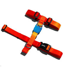 ZeeDog Solaris H-Arnés