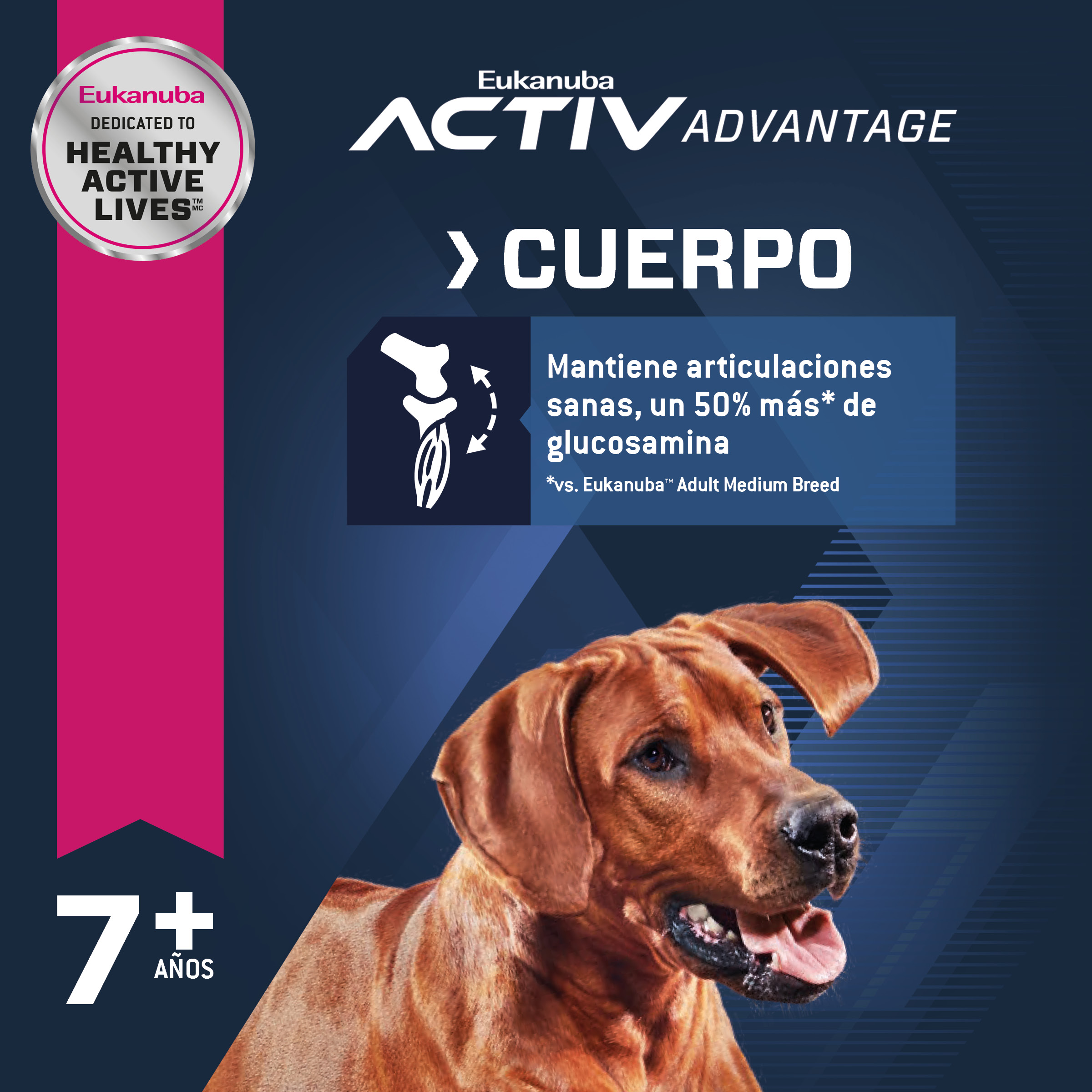 eukanuba-senior-large-breed-7