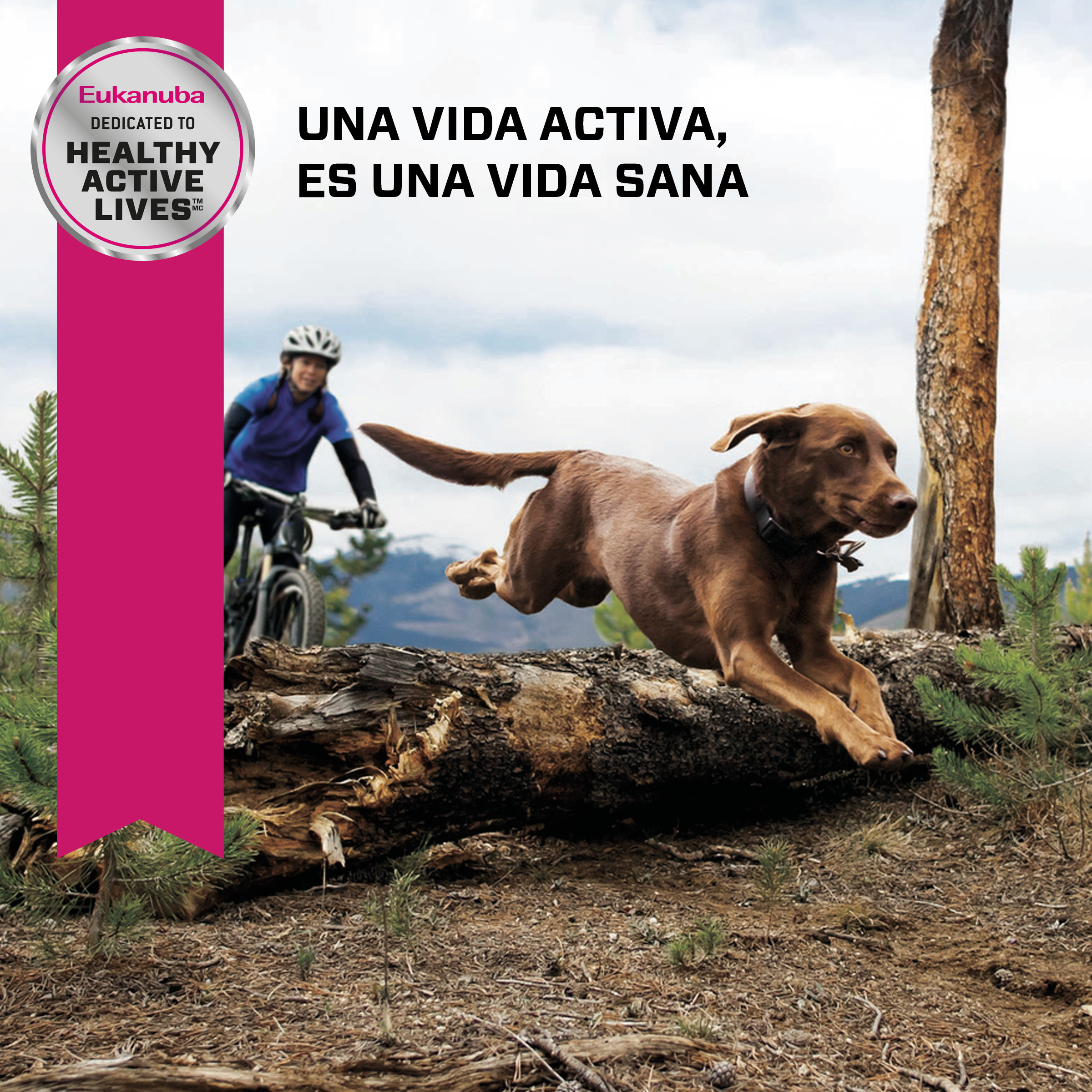 eukanuba-senior-large-breed-7