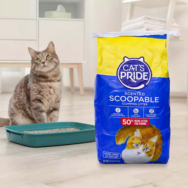 arena-cats-pride-scoopable