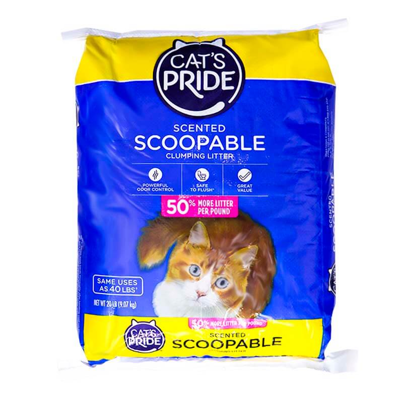 arena-cats-pride-scoopable