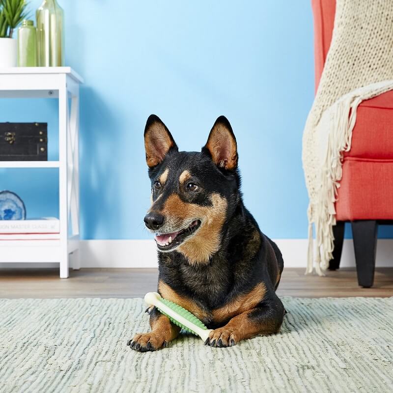 hartz-perro-chew-clean-hueso-tuff-medium
