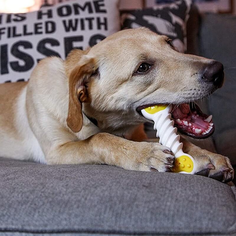 hartz-perro-chew-clean-twisty-bone-s-m