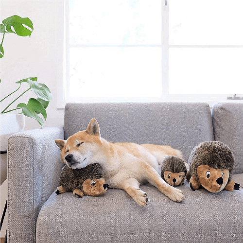 outward-hound-peluche-puercoespin