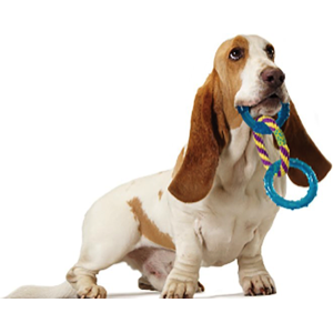 petstages-orka-anillos