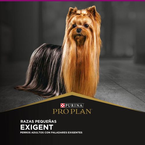 purina-pro-plan-adulto-exigent-razas-pequenas-con-optienrich