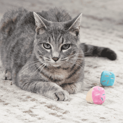 petstages-peluches-donas-catnip-x-3-unidades