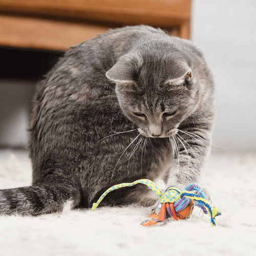 petstages-pelota-con-catnip