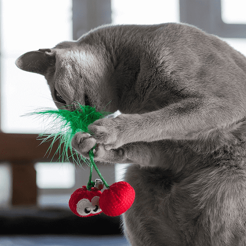 petstages-peluche-dental-cerezas