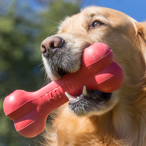 kong-perro-caucho-classic-hueso