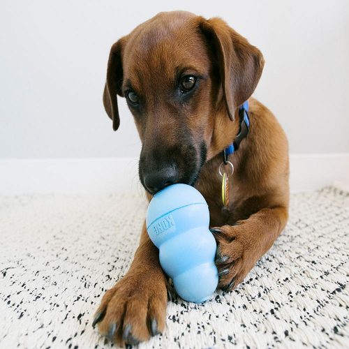 kong-puppy-portapasabocas