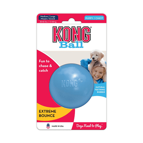 kong-puppy-pelota