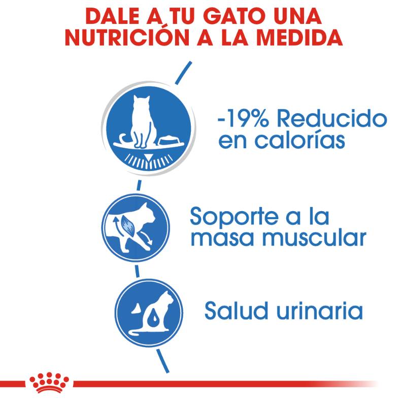 royal-canin-alimento-humedo-ultra-light-loaf-in-sauce-lata
