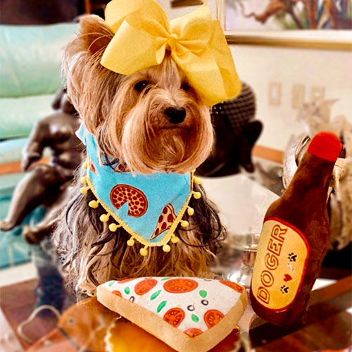 indupet-peluche-pizza