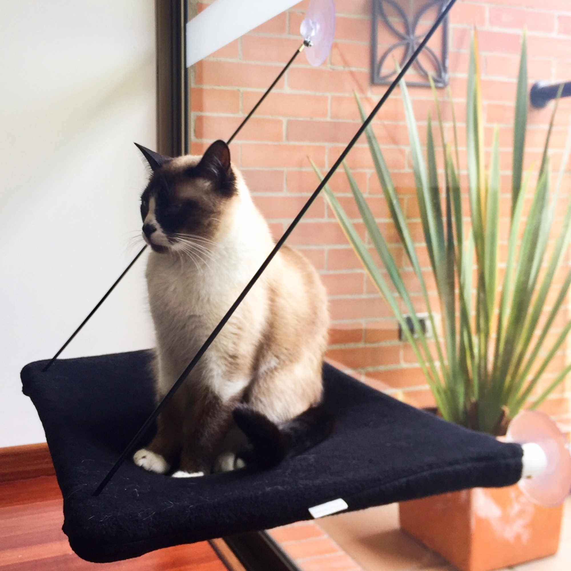 sofistipets-hamaca-para-ventana