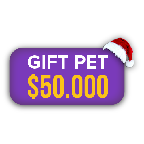 Gift Pet Gato