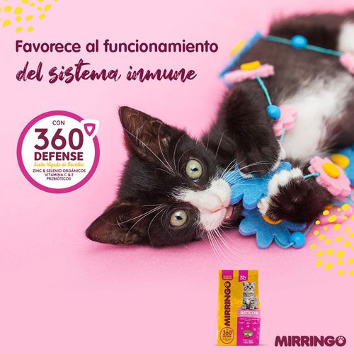 mirringo-gaticos