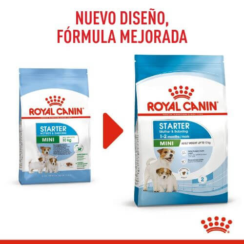 royal-canin-mini-starter-mb-dog
