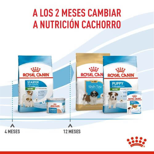 royal-canin-mini-starter-mb-dog