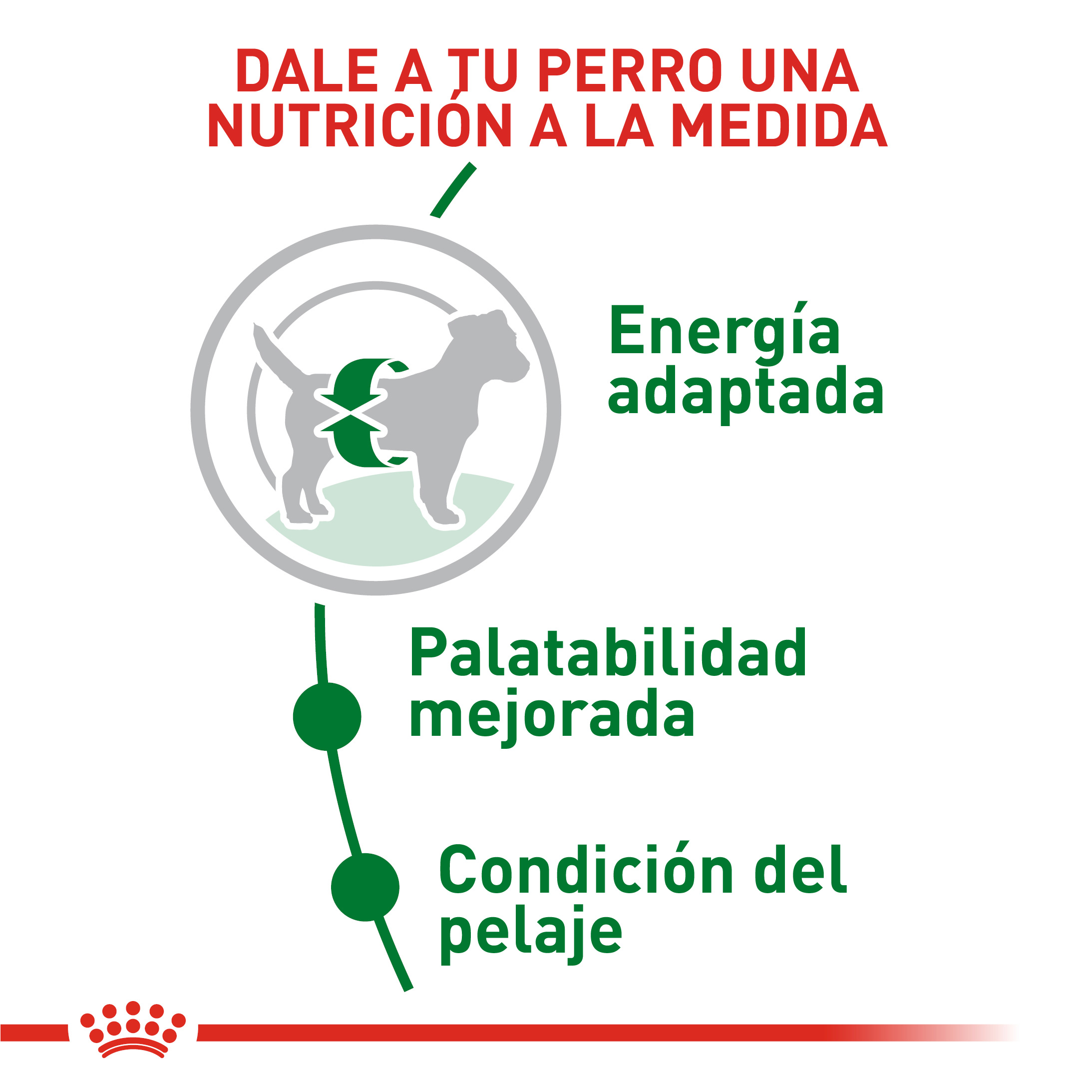 royal-canin-mini-adulto