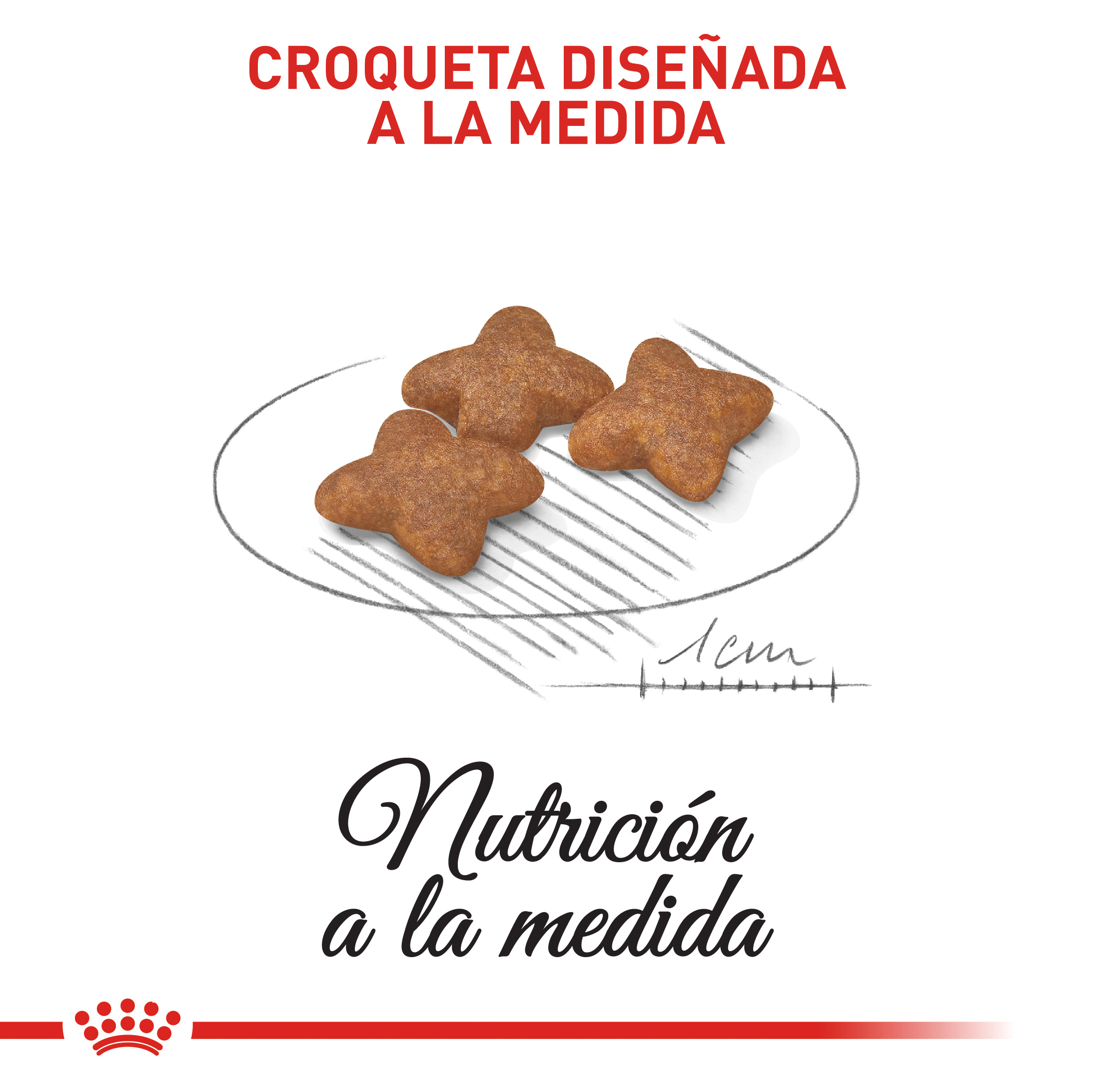 royal-canin-mini-adulto