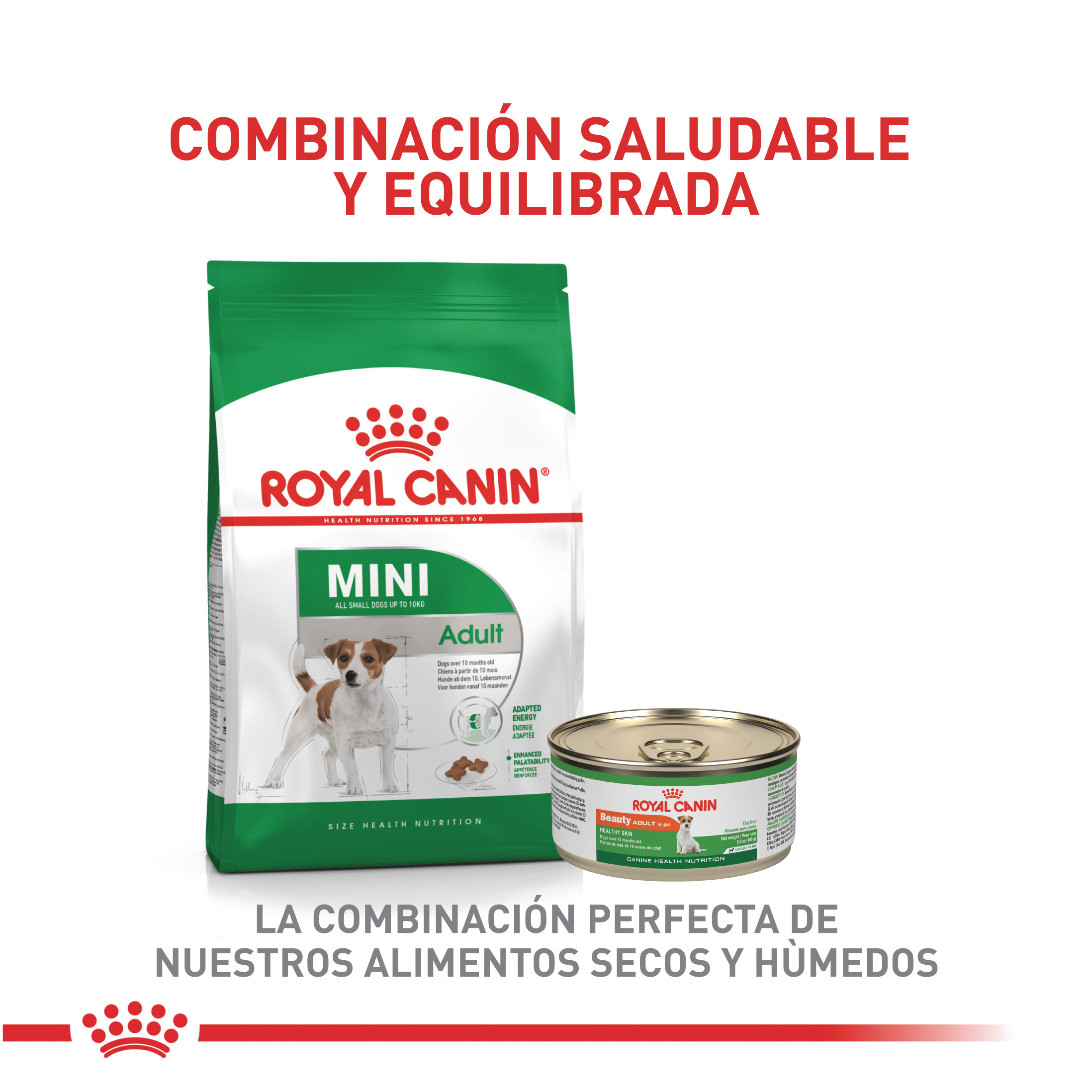 royal-canin-mini-adulto