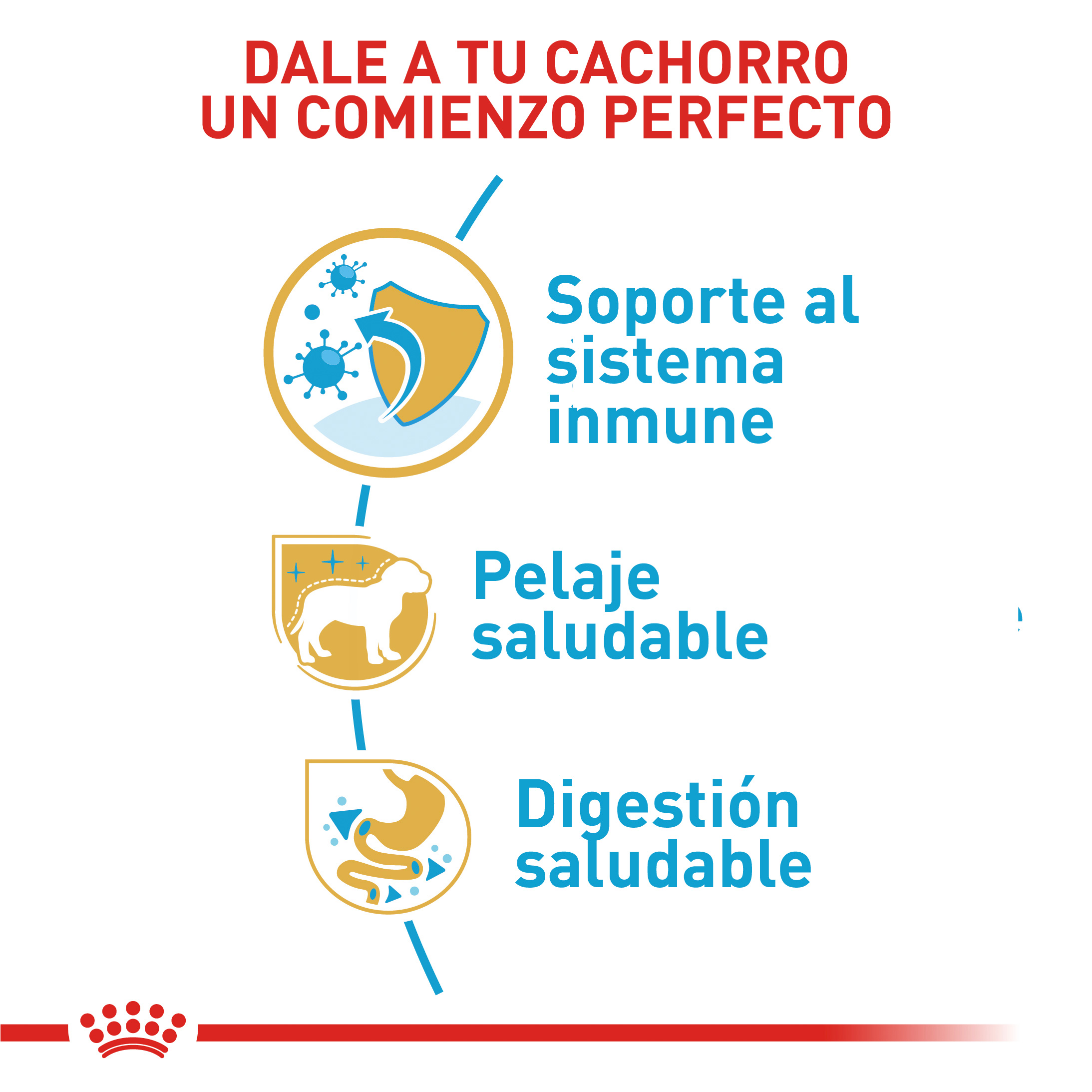 royal-canin-yorkshire-junior