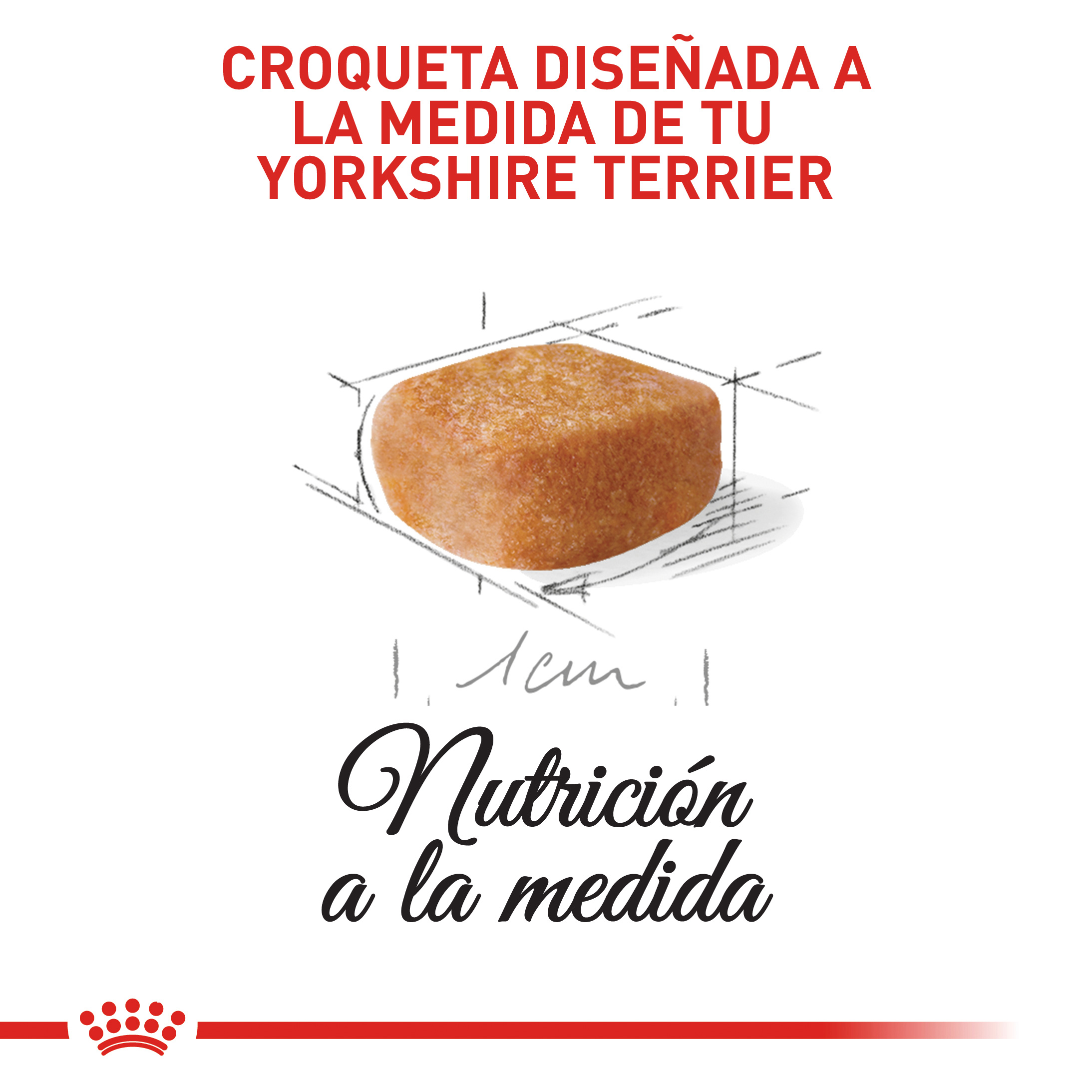 royal-canin-yorkshire-junior