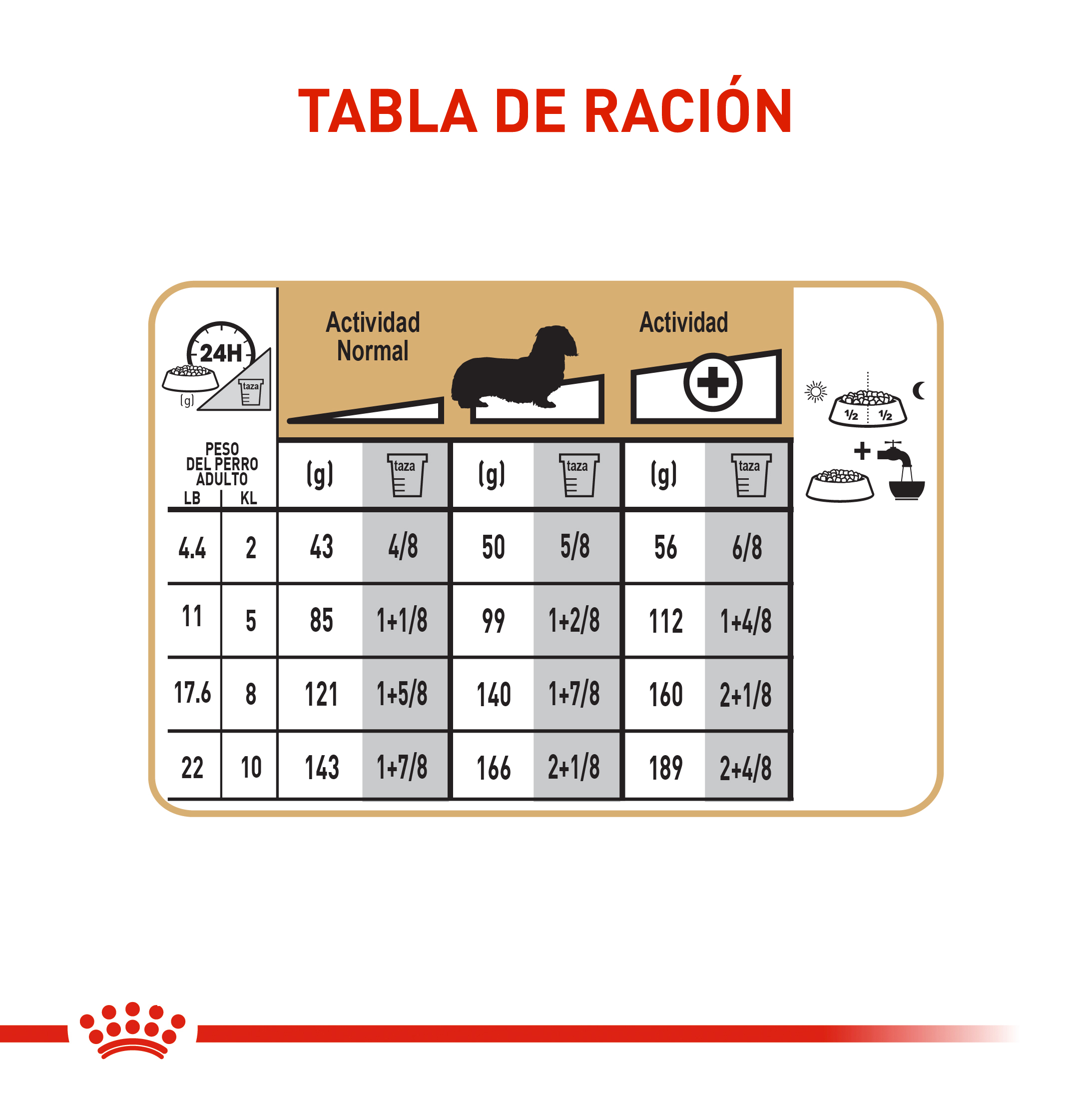 royal-canin-dachshund