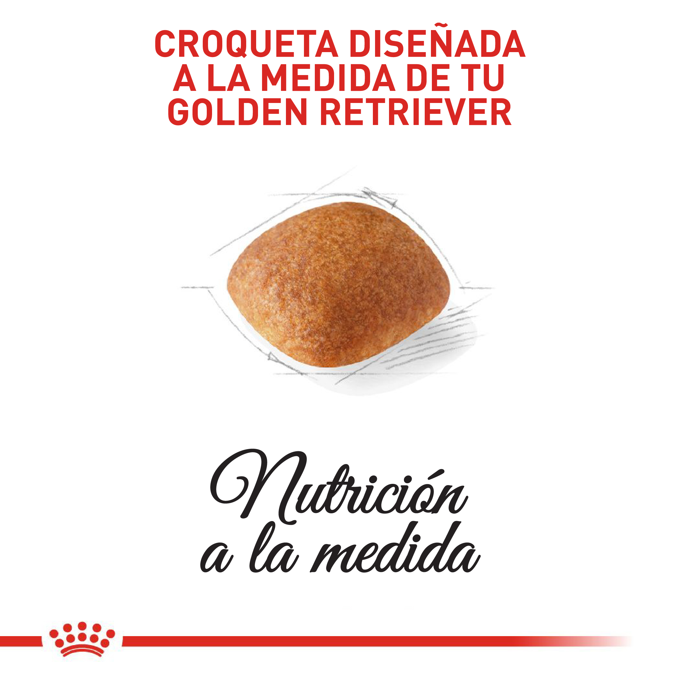 royal-canin-golden-retriever