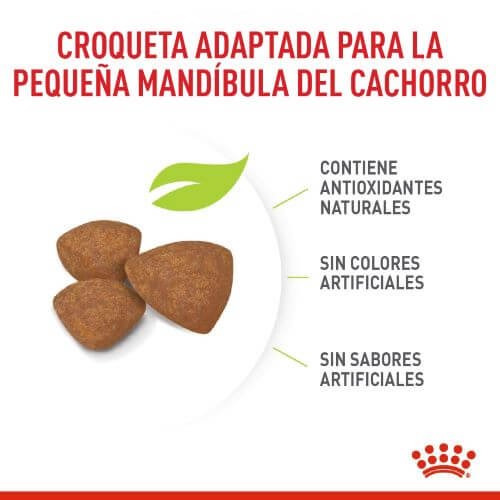 royal-canin-mini-puppy