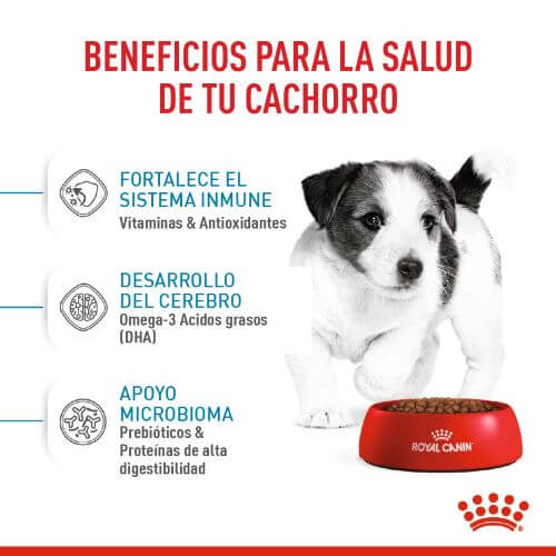 royal-canin-mini-puppy