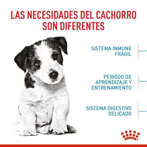 royal-canin-mini-puppy