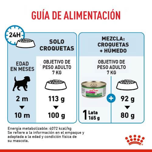 royal-canin-mini-puppy
