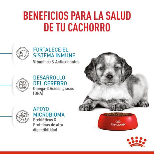 royal-canin-medium-puppy