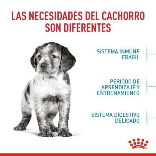 royal-canin-medium-puppy