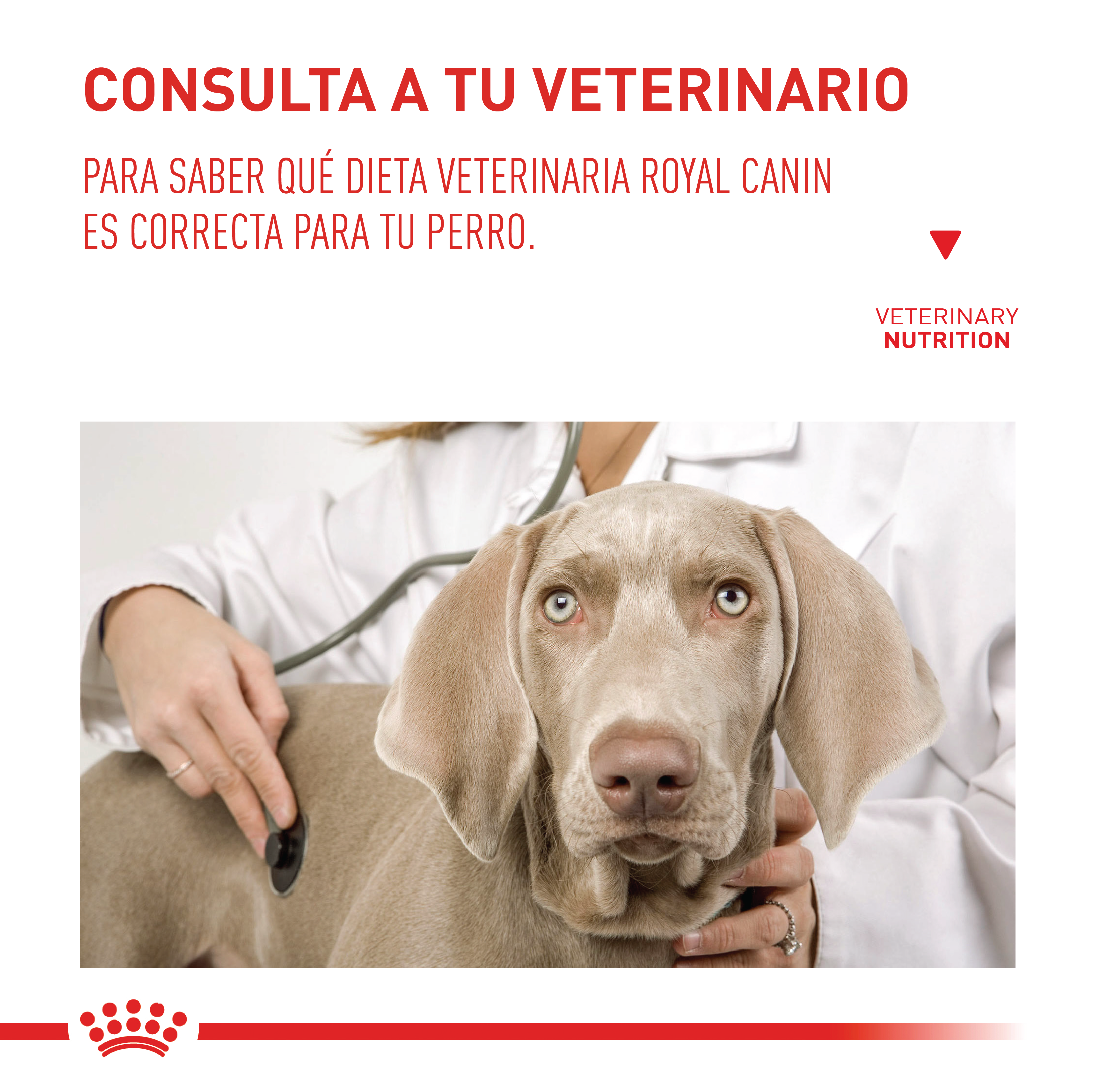 royal-canin-gastro-intestinal-low-fat-veterinary-diet