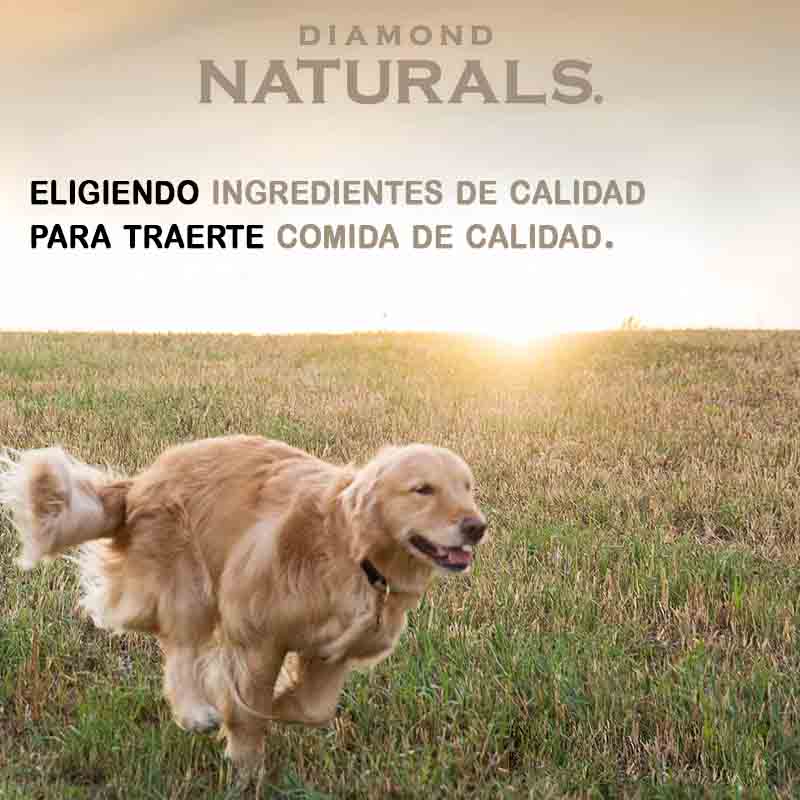 diamond-naturals-light-dog-lamb-and-rice-adult