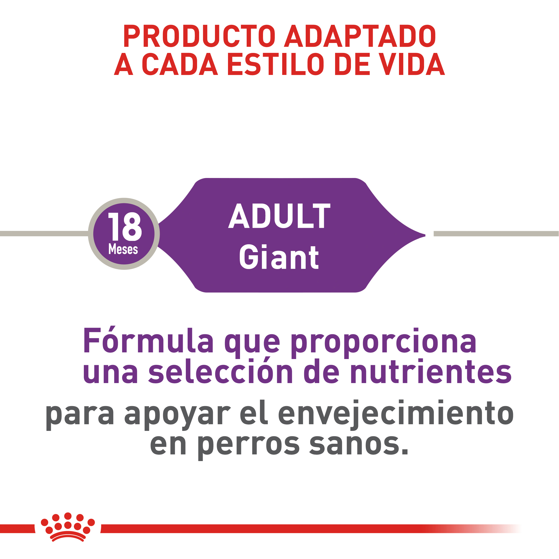 royal-canin-giant-adult