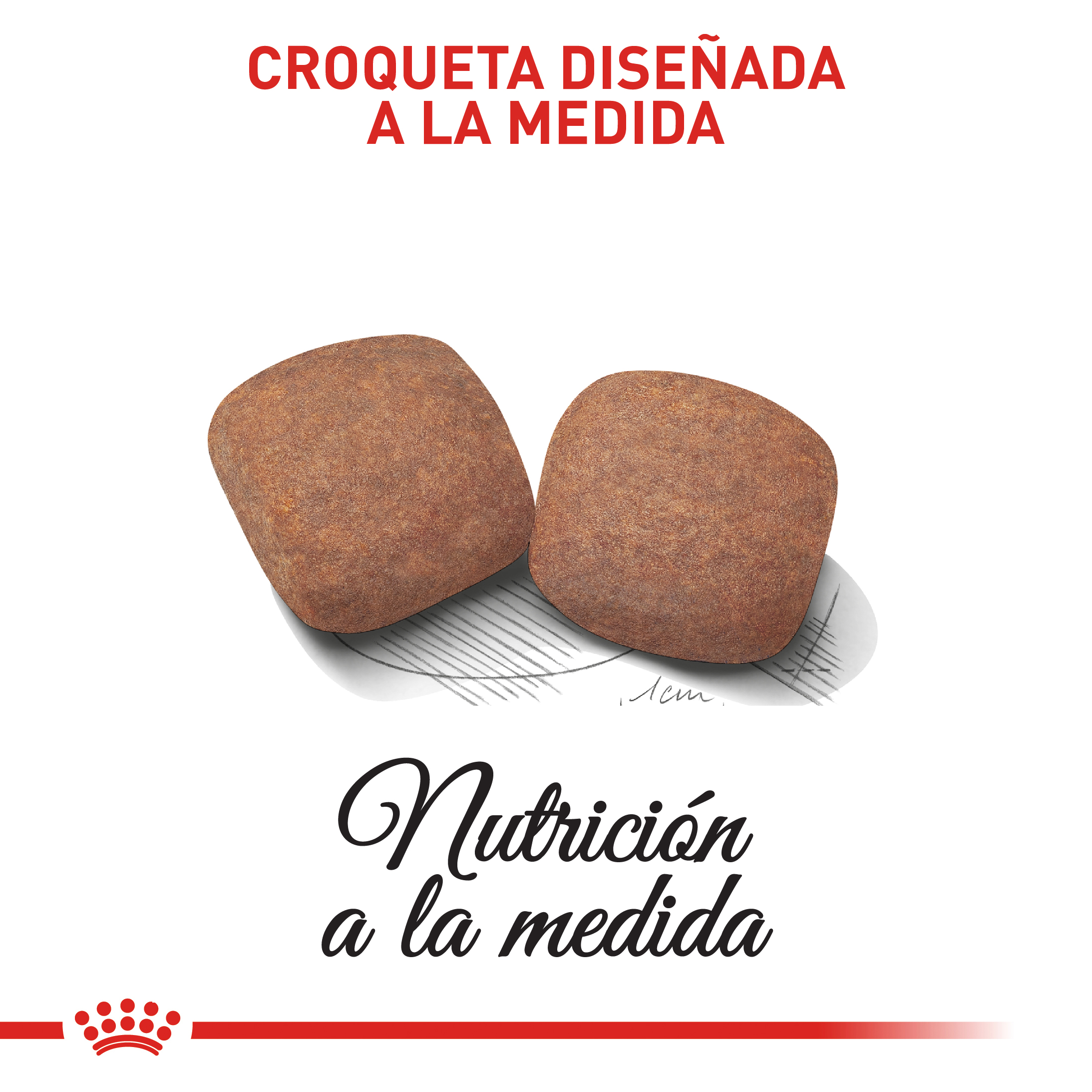 royal-canin-giant-adult