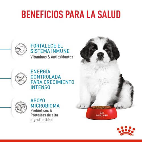 royal-canin-giant-puppy