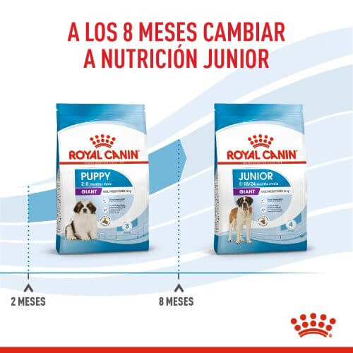 royal-canin-giant-puppy