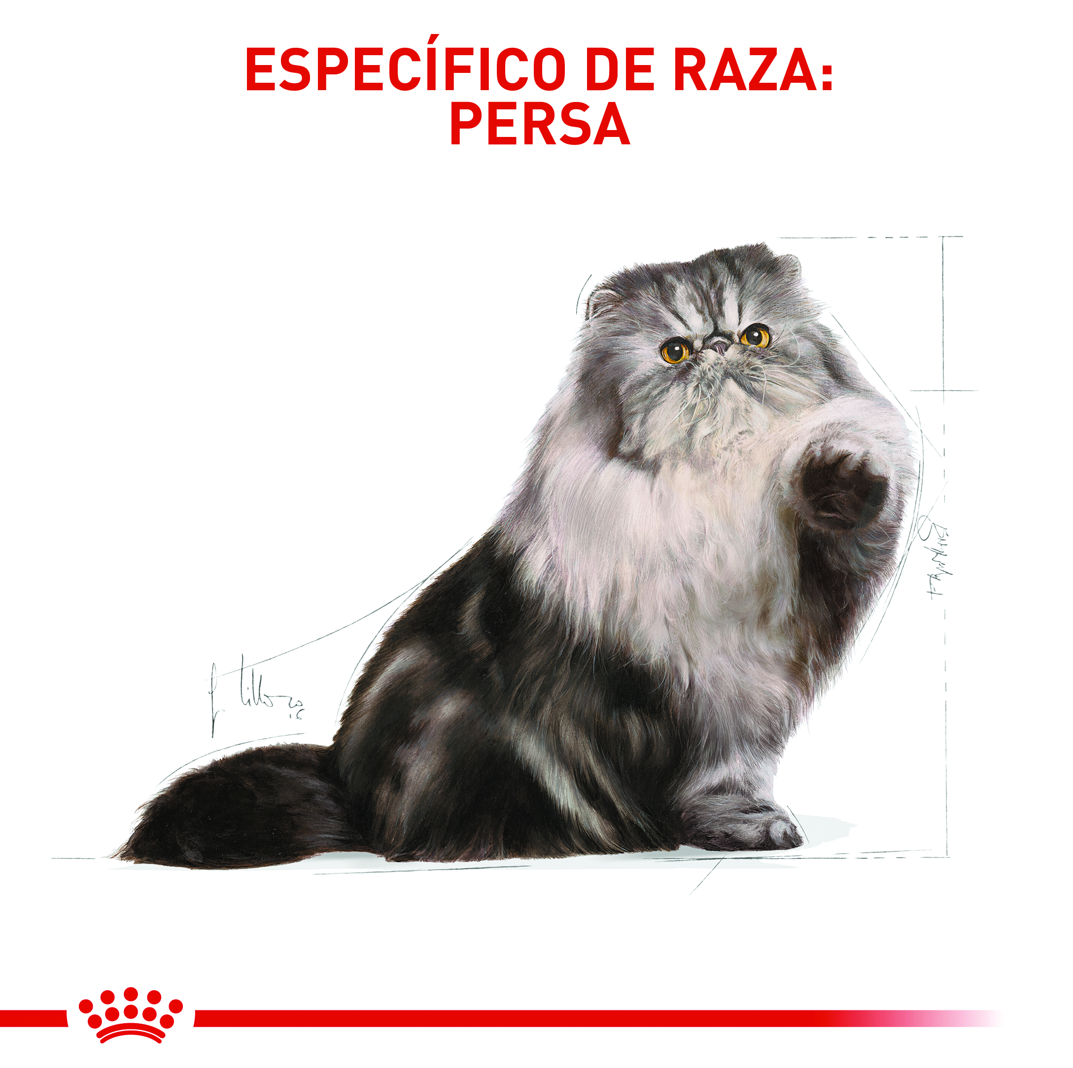 royal-canin-fbn-persian-adult