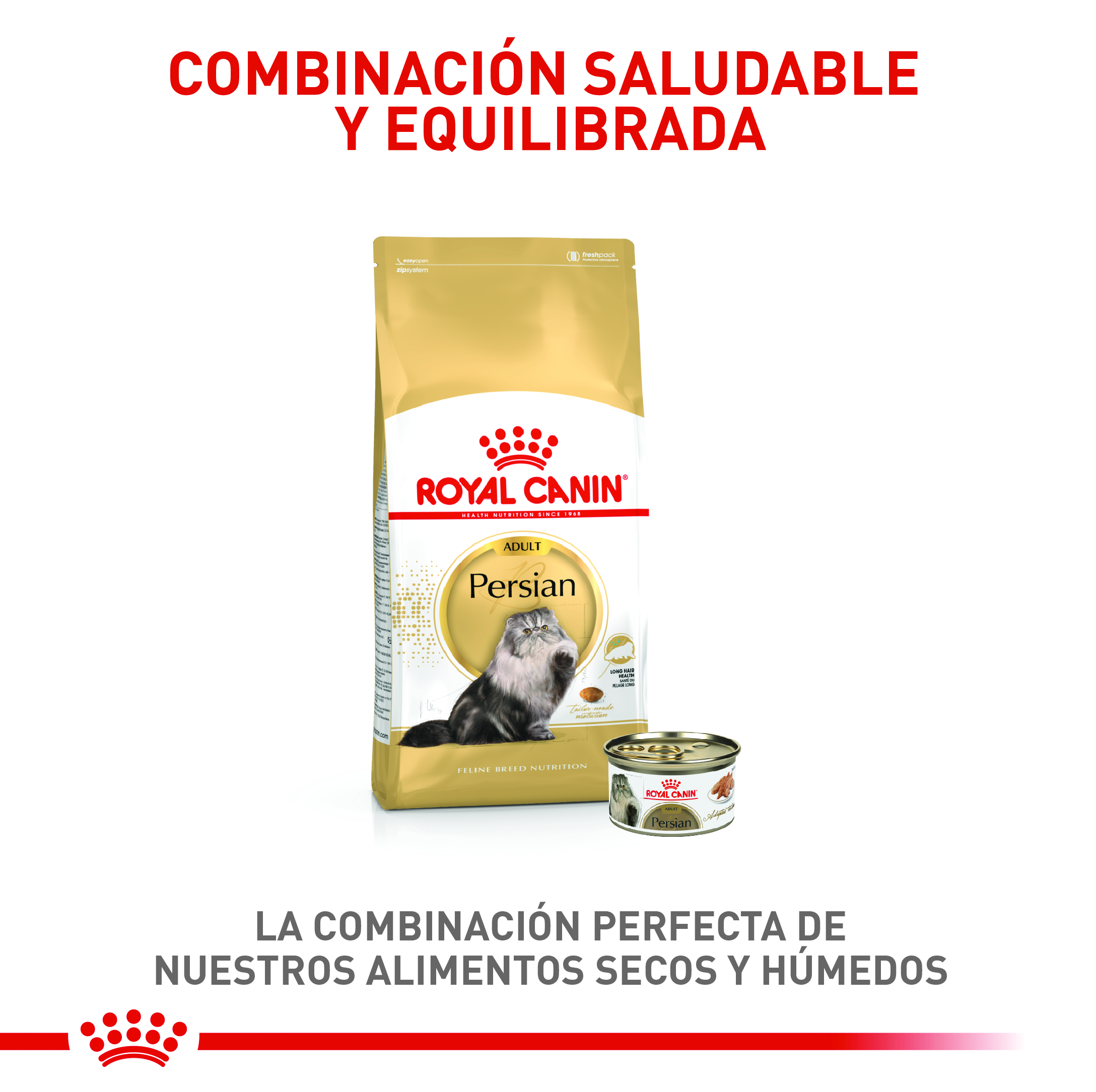 royal-canin-fbn-persian-adult