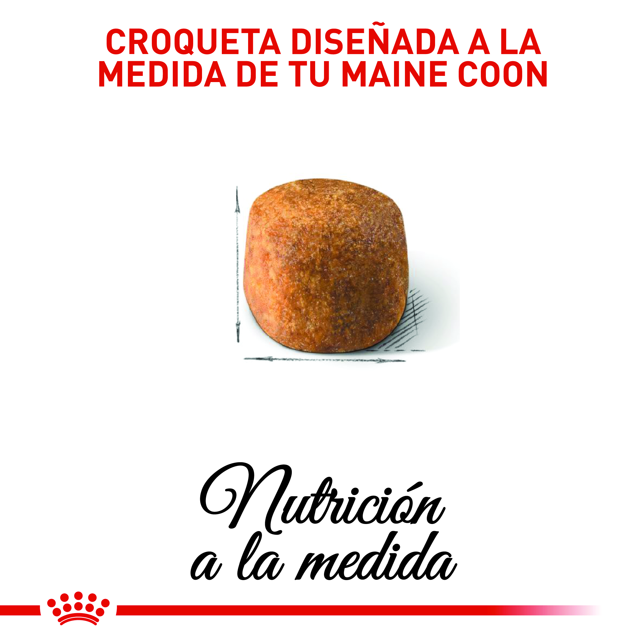 royal-canin-fbn-maine-coon-adult
