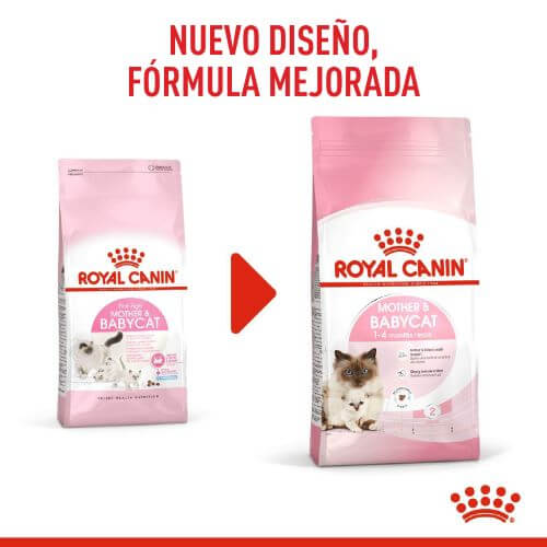 royal-canine-primera-edad-mother-and-baby-cat