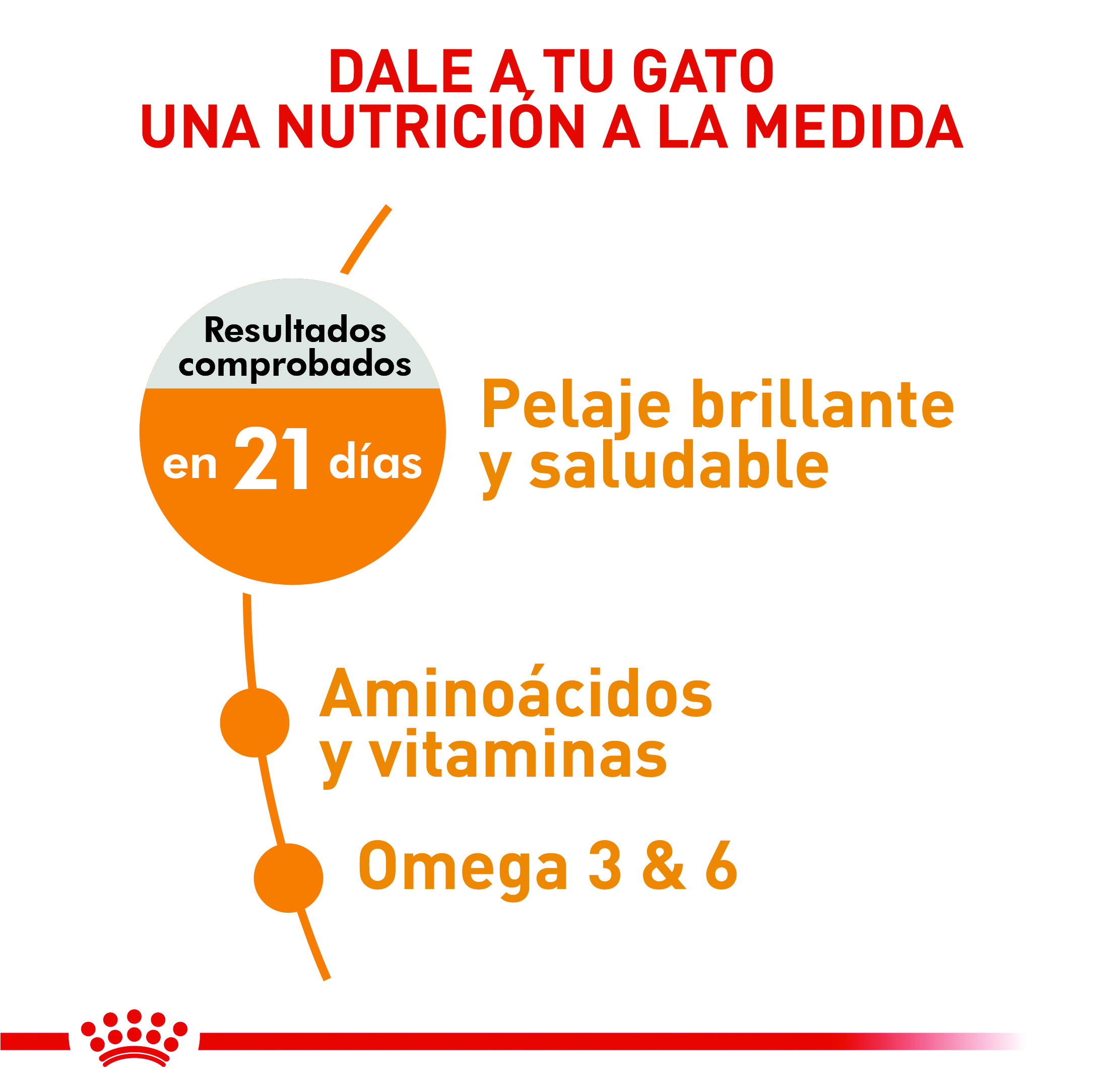 royal-canin-hair-and-skin-care