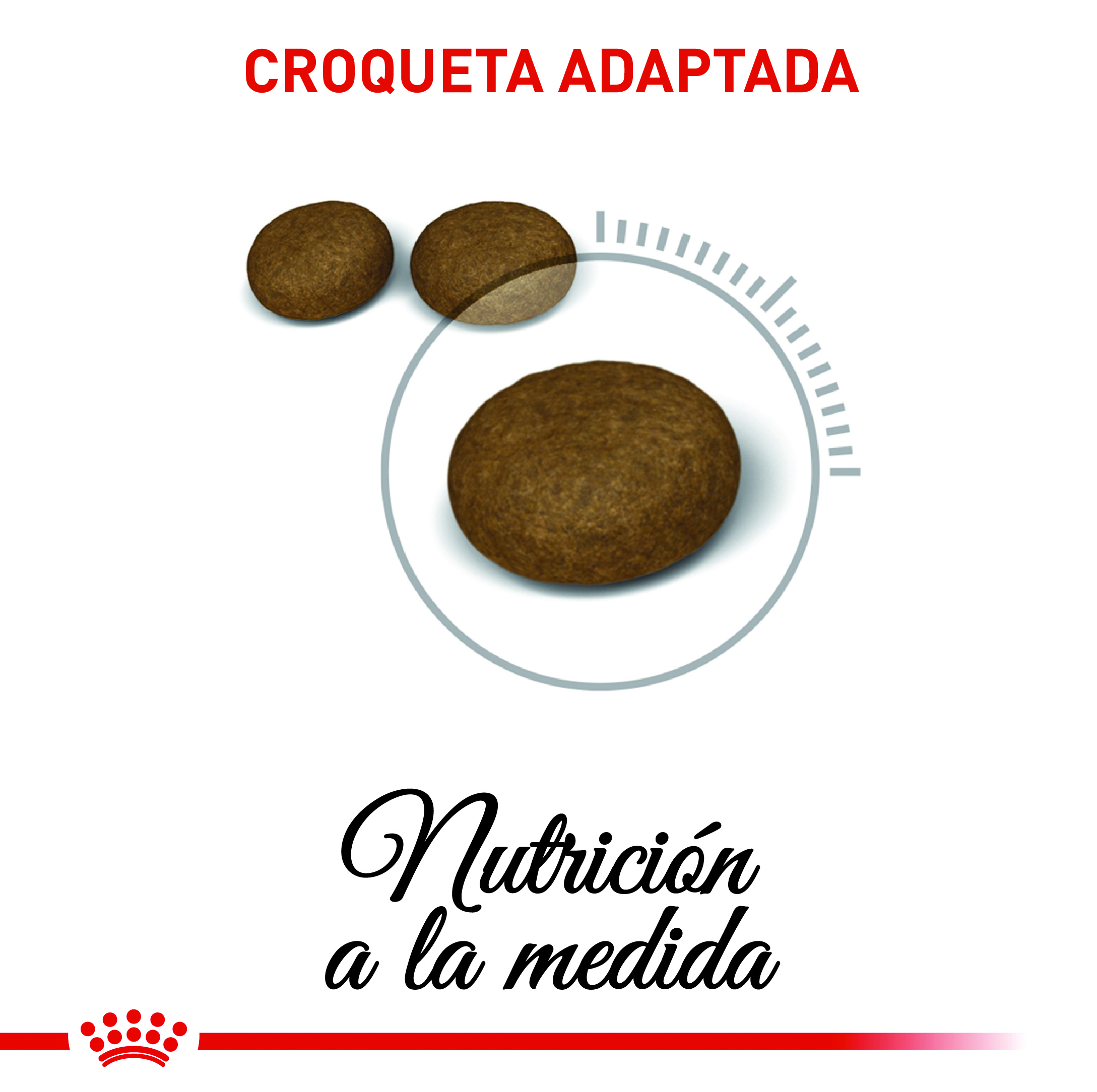 royal-canin-hair-and-skin-care