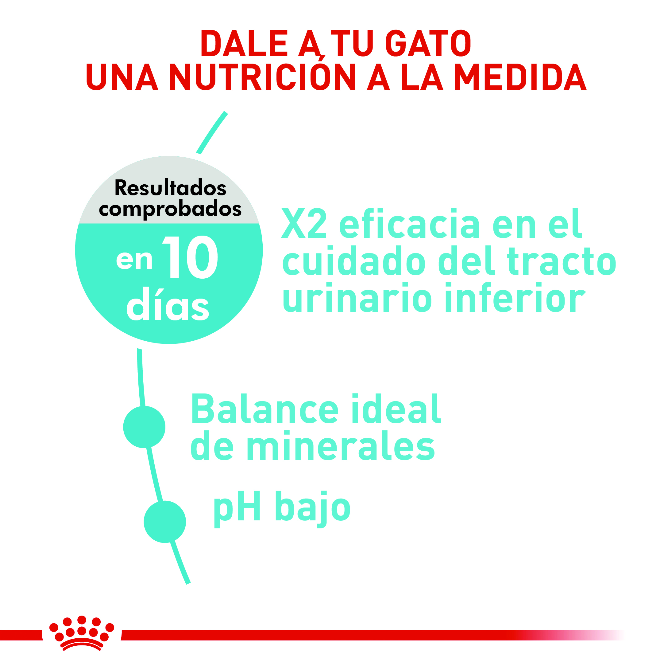 royal-canin-urinary-care-cat